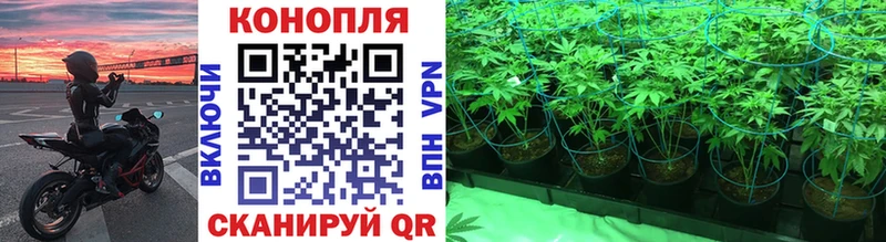 где продают наркотики  kraken сайт  Бошки марихуана White Widow  Когалым 